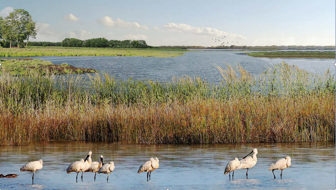 圖片3.png 圖片3.png